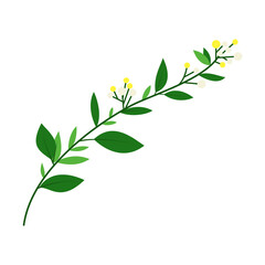 branch with floral and leaf illustration