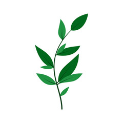 leaf illustration element