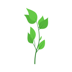 leaf illustration element