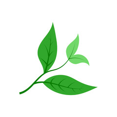 leaf illustration element