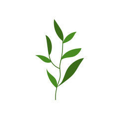 leaf illustration element