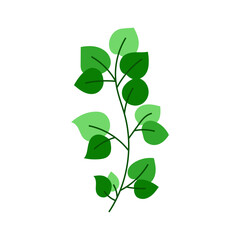 leaf illustration element