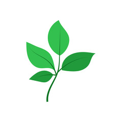 leaf illustration element