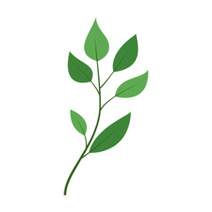 leaf illustration element