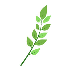 leaf illustration element