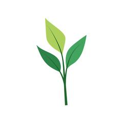 leaf illustration element