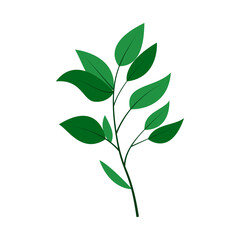 leaf illustration element