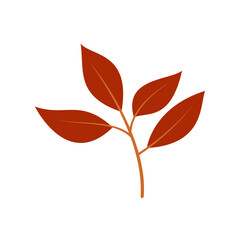 leaf illustration element