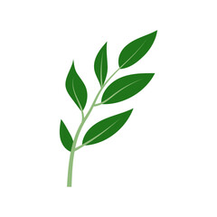 leaf illustration element