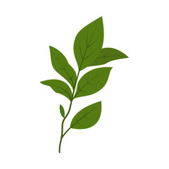 leaf illustration element