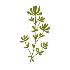 leaf illustration element