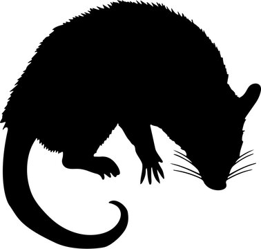 black rat silhouette sniffing ground clip art preview