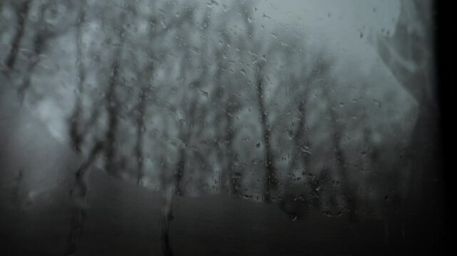 Raindrops on foggy side window of car during rain or sleet. View from inside the car to the tree crowns in winter. Passenger's point of view looking out the side window of a car on a rainy day.
