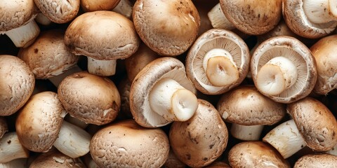 Fresh raw brown royal champignon mushrooms piled up, ideal for cooking. These raw brown royal champignon mushrooms provide a rich flavor, perfect for various culinary dishes.