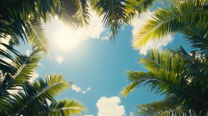 Tropical palm tree tops against a bright blue sky creating a serene and inviting summer nature background.
