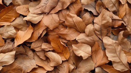 Naklejka premium Natural dry tropical leaves background texture for eco-friendly design and nature themes