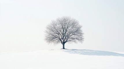 Fototapeta premium Isolated winter tree on a snowy landscape against a white background capturing the serene beauty of nature in cold weather