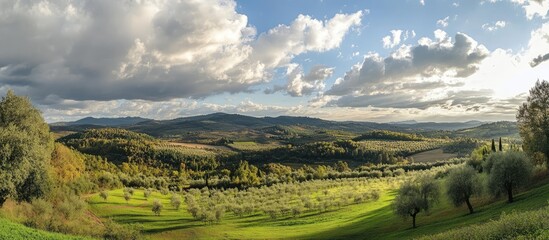 Naklejka premium Breathtaking panoramic view of Tuscany's rolling hills and lush olive groves under a dramatic sky filled with clouds and sunlight.