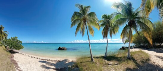 Idyllic tropical beach scene with swaying palm trees under a clear blue sky and calm turquoise waters, perfect for relaxation and travel.