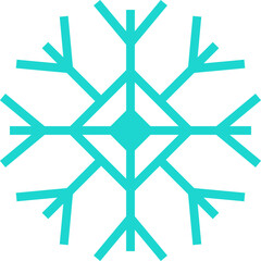 Snow Flake Icon