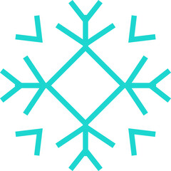 Snow Flake Icon
