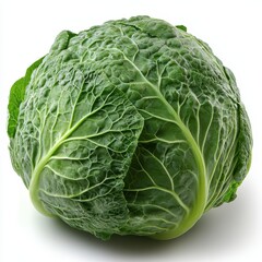 Fototapeta premium Fresh Green Cabbage on White Background 