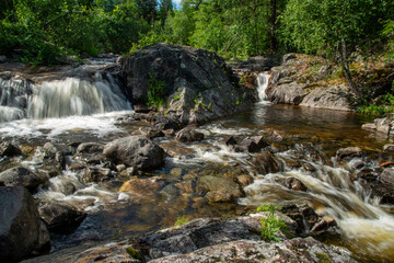 Fototapeta premium Norwegian mountain river with fast flowing clear and sparkling water and a waterfall that forms white foam on rocks surrounded by green coniferous trees. Sunny summer day.