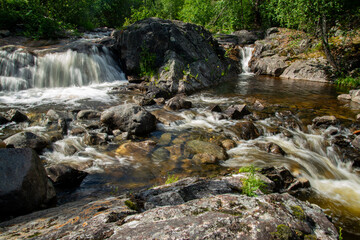 Obraz premium Norwegian mountain river with fast flowing clear and sparkling water and a waterfall that forms white foam on rocks surrounded by green coniferous trees. Sunny summer day.