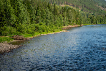 Norwegian fishing river Hallingdalselva with green forest in the background against blue sky