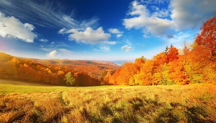 Fototapeta premium Autumn Landscape - Trees And Orange Foliage In Park At Sunset