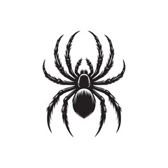 Black Color Spider silhouette design Vector Illustration, Solid White Background 4.eps