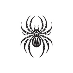 Black Color Spider silhouette design Vector Illustration, Solid White Background 6.eps