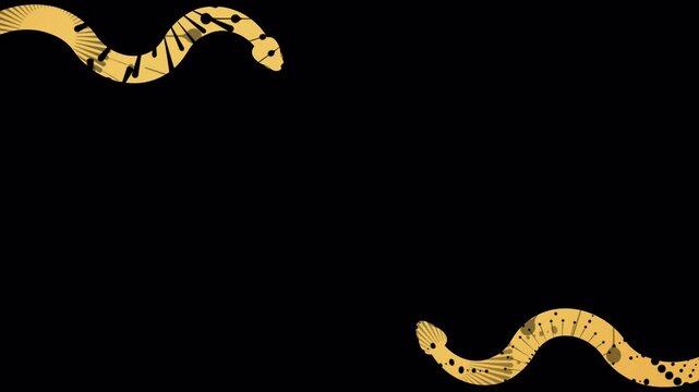 Animation of golden snake firework patterns, flying along the frame, space for 2025 New Year greetings, Chinese New Year celebration. golden crawling snake on transparent background. Seamless Loop. 
