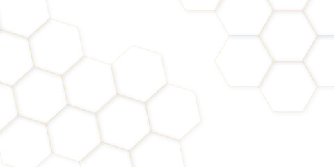 Abstract white background. Luxury white pattern with hexagons. abstract 3d hexagonal background. modern background with hexagons. Geometric mesh cell texture. modern futuristic wallpaper. 