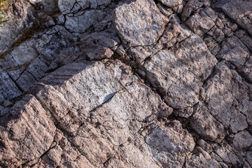 Older Volcanics, Rhyolite and rhyodacite volcanic rocks ( TV ); Greenwater Volcanics; Dante’s View
Road,  Death Valley National Park, California. Mojave Desert / Basin and Range Province.	
