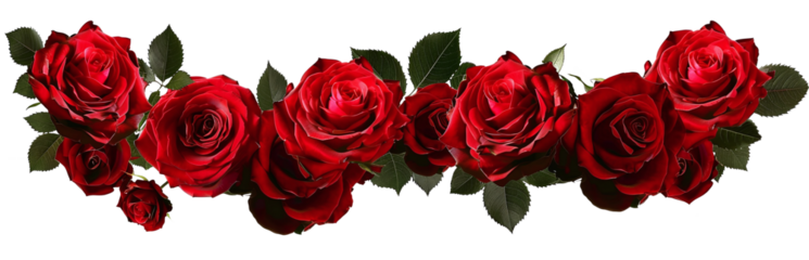 crown of red roses isolated on transparent background.  AI generate image.
high resolution PNG file