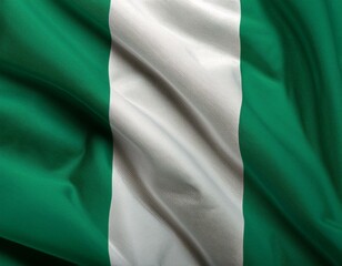 Obraz premium Nigeria national flag waving in the sky behind the tree. The flag blow in beautiful sunlight. Nigeria national flag for independence day.