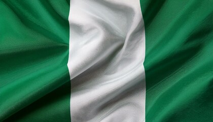 Obraz premium Nigeria national flag waving in the sky behind the tree. The flag blow in beautiful sunlight. Nigeria national flag for independence day.