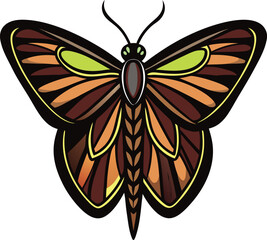 butterfy-vector-art-in-white-background 