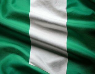 Obraz premium Nigeria national flag waving in the sky behind the tree. The flag blow in beautiful sunlight. Nigeria national flag for independence day.