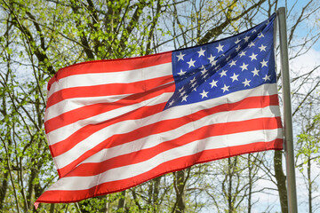 Flag of the United States in the forest with spring trees behind it