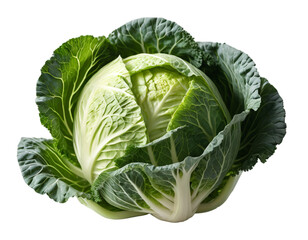 Fototapeta premium Fresh Green Cabbage Isolated on Transparent PNG Background.