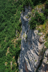 Tara river view from above from the bridge in Durmitor nature reserve, Montenegro summer. Mountains, forest, river panorama