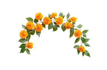 Orange and red marigold flowers frame isolated on transparent background. Chinese mid autumn festival or toran Indian traditional Diwali decoration. Symbol of mexican holiday Day of dead png