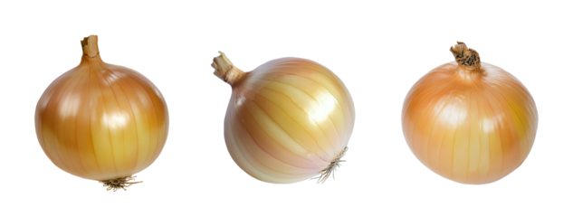 Yellow onion set on transparent background. Png clip art for menu, ingredients, home harvest, vitamins and cold and flu treatment