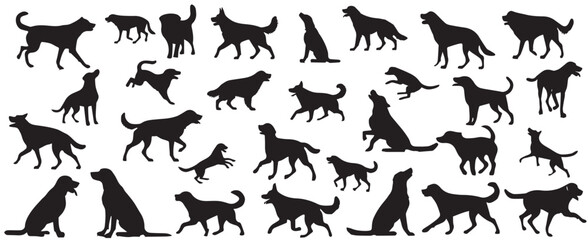 silhouette of a dog on a white background. vector