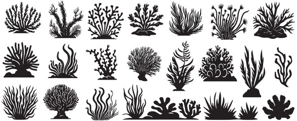 Collection of silhouette underwater plants. Hand drawn vector