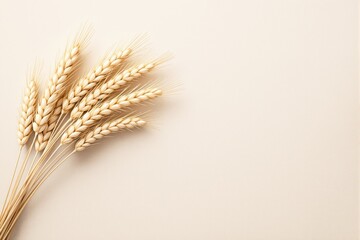 Fototapeta premium Golden wheat sprigs placed on a beige background, with ample empty space for text or design, illustrating a concept of natural harvest and minimalism. Ai generative