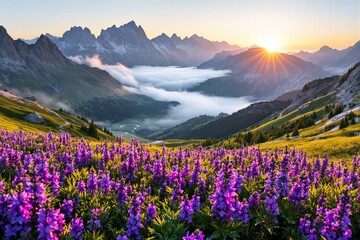 Obraz premium Alpine meadow with vibrant purple flowers, lush greenery, and sunlit mountain peaks with mist rolling over valleys, serene natural beauty concept. Ai generative