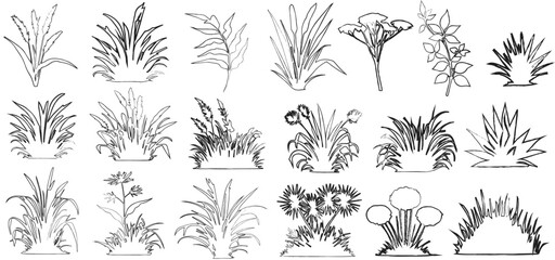 Plant elevation line silhouettes outline - grass, shrub, tree set vector illustration